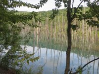 img (46)